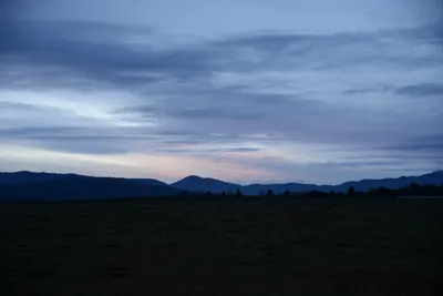 DSC_1124 (Large).JPG